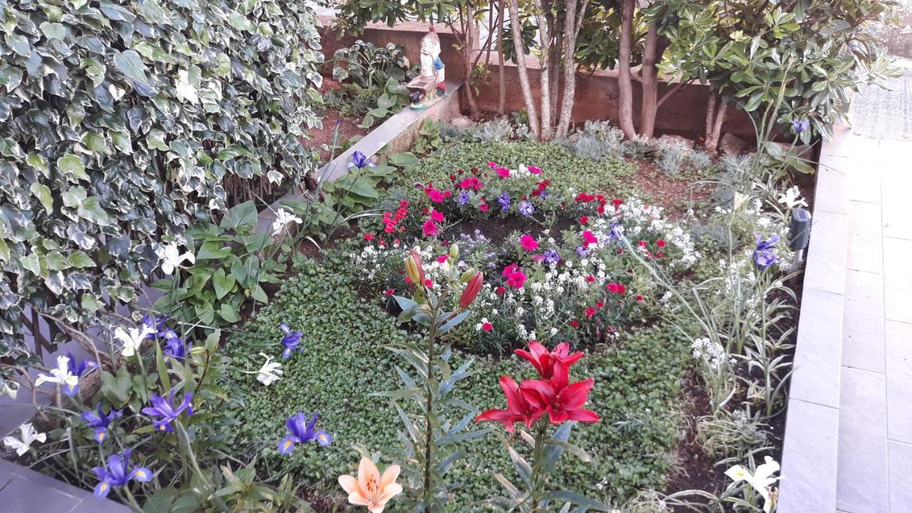 Apartments Suljic - Cash Only Property สตารีกราด ภายนอก รูปภาพ